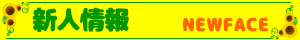 新着情報