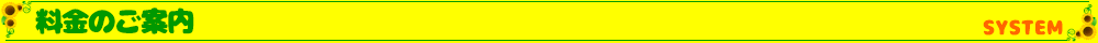 システム